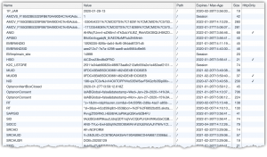 Typical cookie list from Chrome Dev Tools