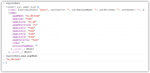 using javascript to query the data layer