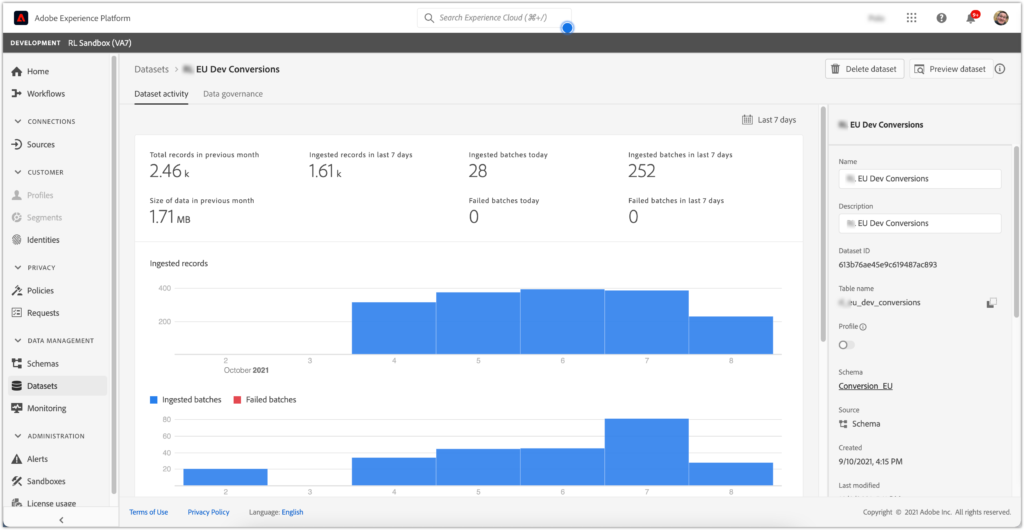 Adobe Experience Platform data set user interface